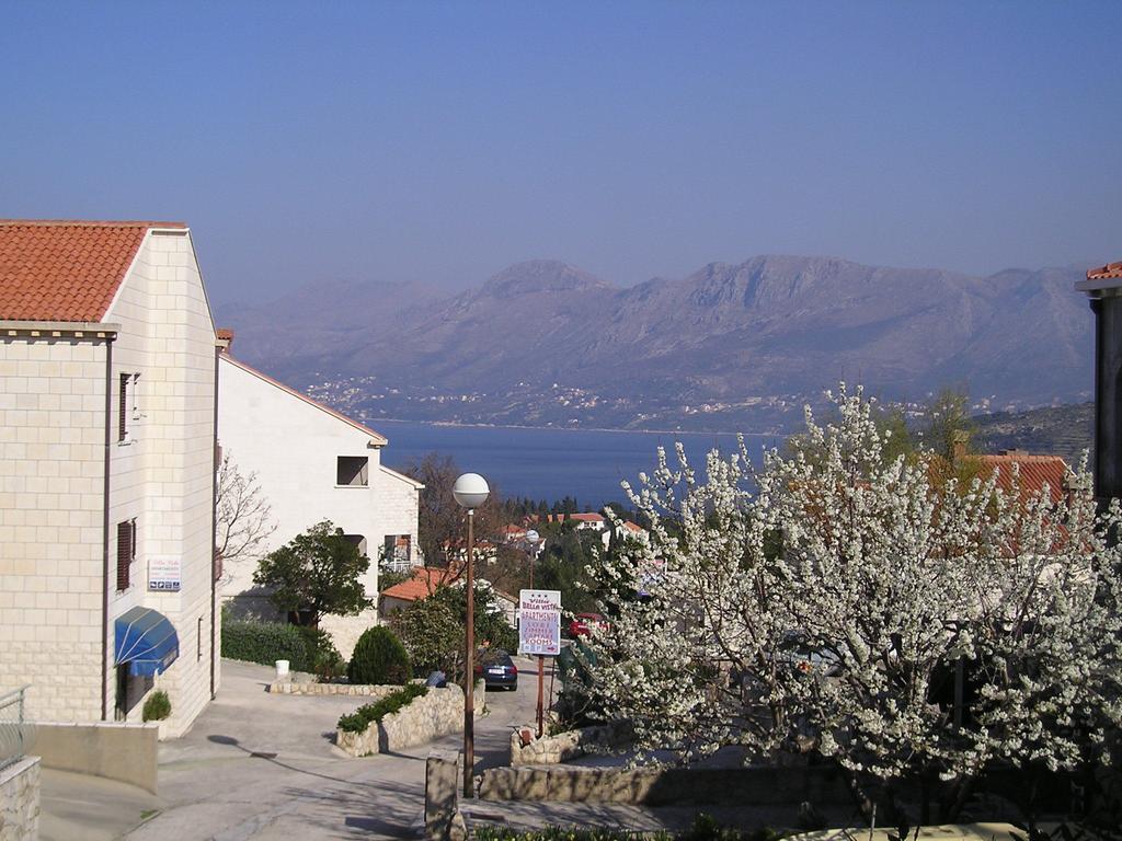 Apartments Zrnic Cavtat Extérieur photo